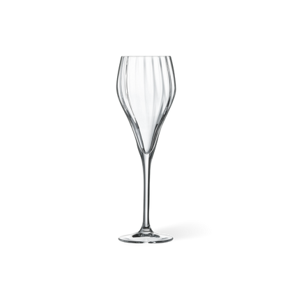 champagne glass symmetry | 160ml